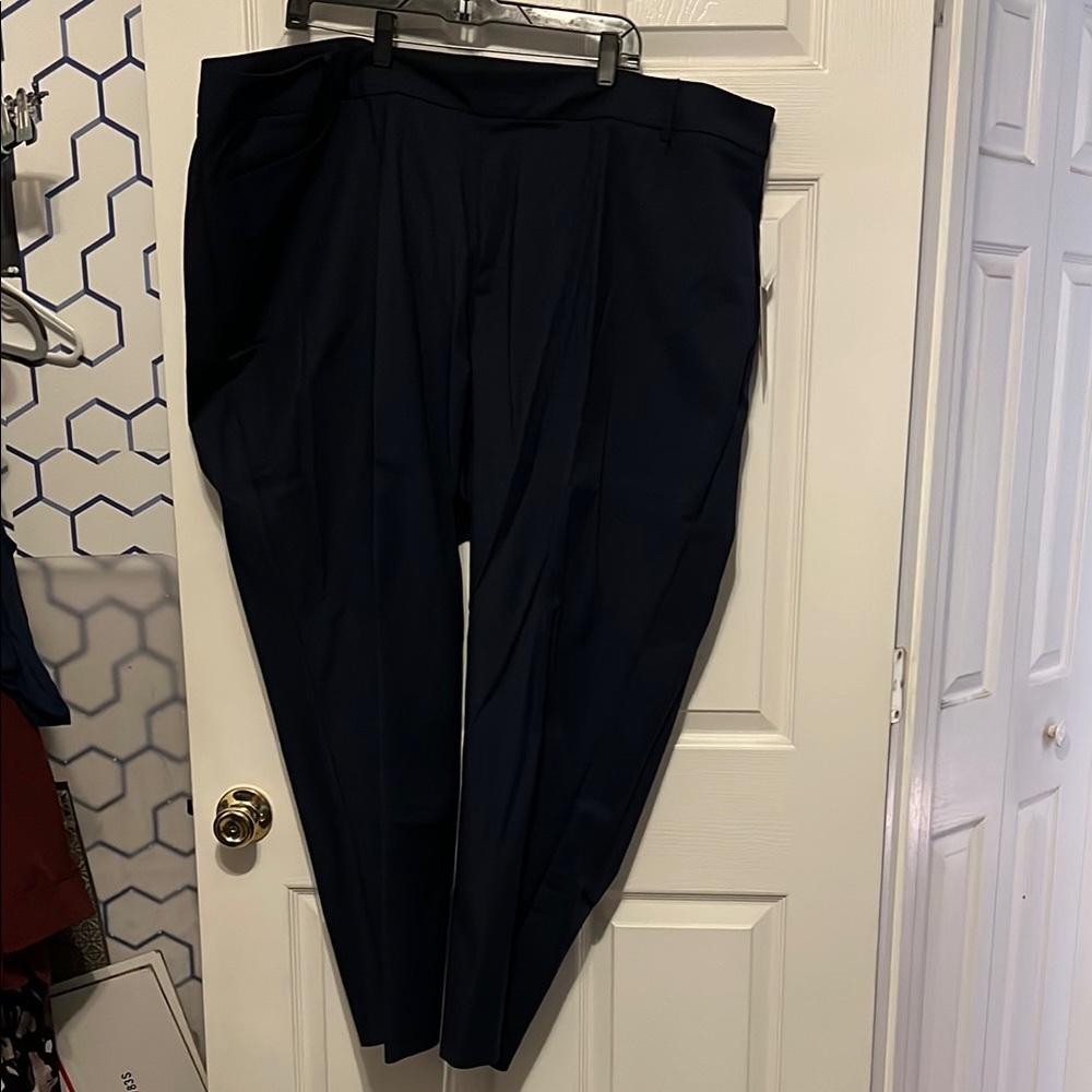 Eloquii Katy Navy Pants 26V
